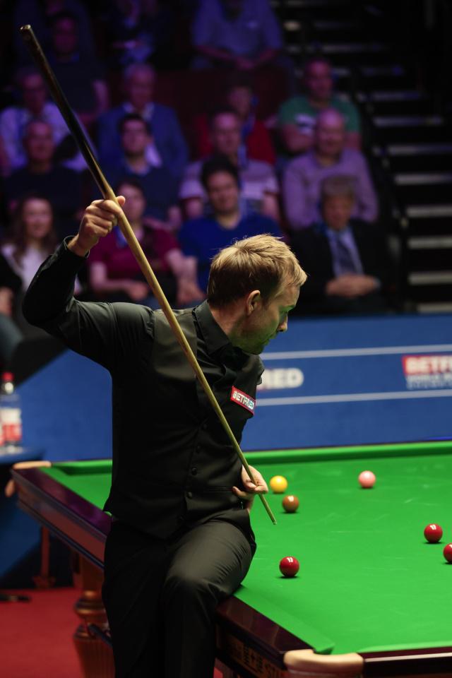 他们的决心 他们的决心