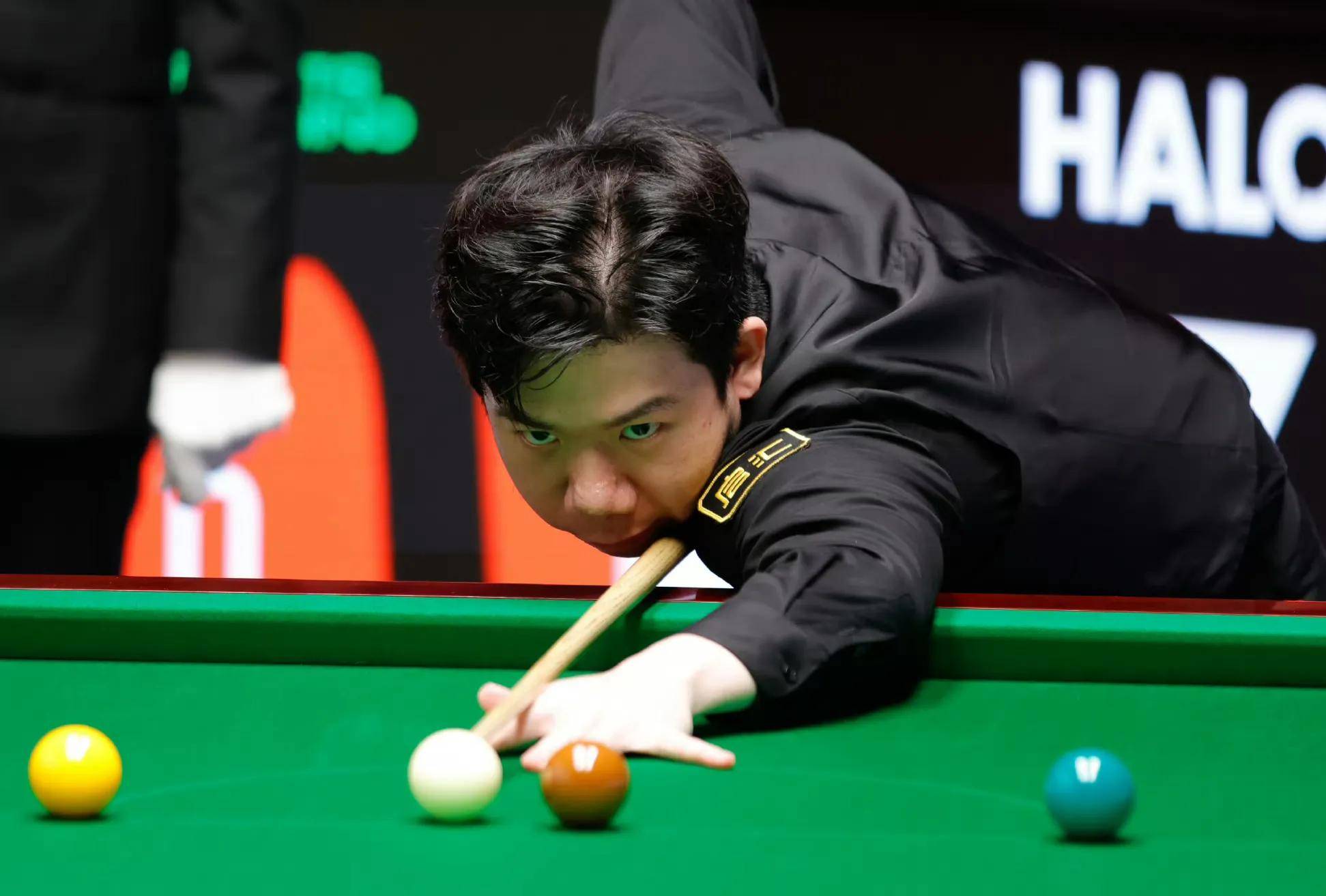 他们在中后 他们在中后