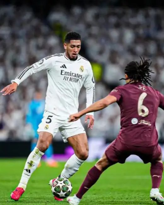 冠军曲线 冠军曲线